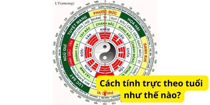 Cách tính trực theo tuổi như thế nào?