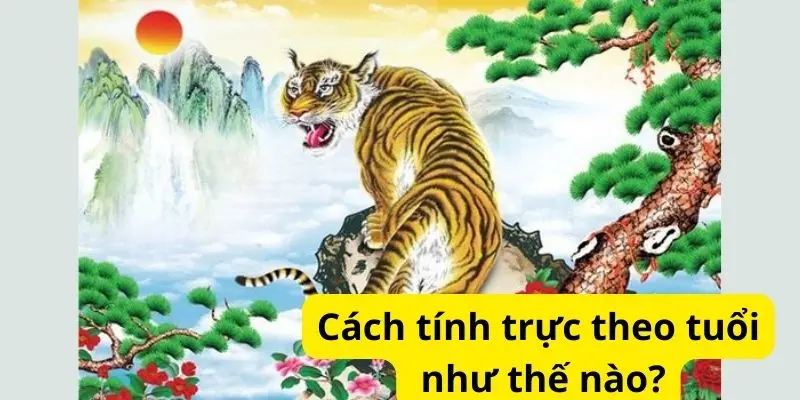 Cách tính trực theo tuổi như thế nào?