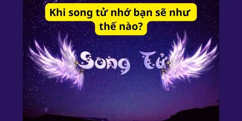 Khi song tử nhớ bạn sẽ như thế nào?